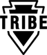 The picture tribelacrosse.com shows when its homepage is shared